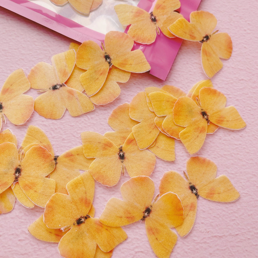 Edible Wafer Cake Cupcake Topper | Daffy Yellow Butterflies - Set of 24