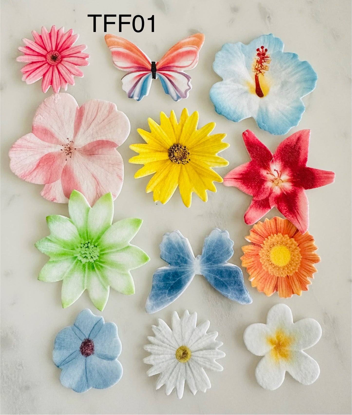 Edible Wafer Cake Cupcake Topper | Tropical Flower/Fauna (12 Pack)