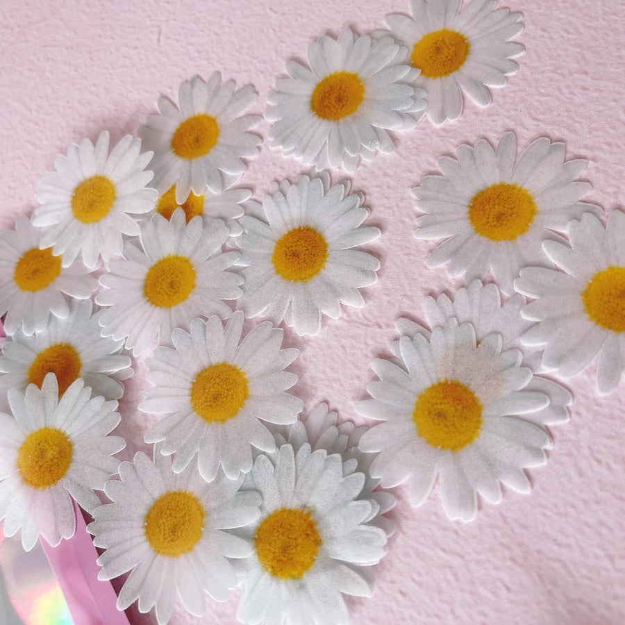 Edible Wafer Cake Cupcake Topper | Daisy Daisies Flower - Set of 24