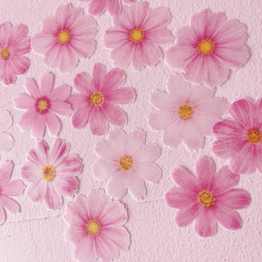 Edible Wafer Cake Cupcake Topper | Pink Cosmos Florals Flowers - Set of 15