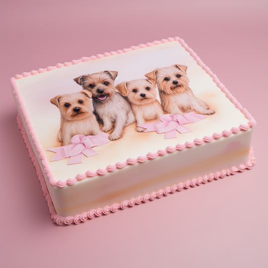 A3 Rectangle Cake Edible Icing Image - CUSTOM