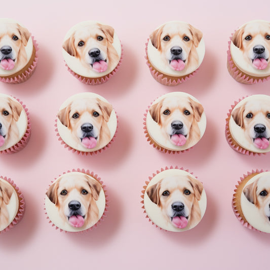 Premium 1.5" x 30 circles Round Edible Icing Frosting Image Sheets - 24 pack