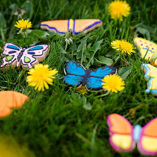 Butterflies Cookie Cutter Set 7pcs