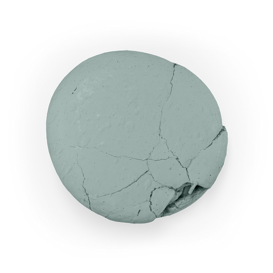 Colour Mill Aqua Blend 20ml EUCALYPTUS