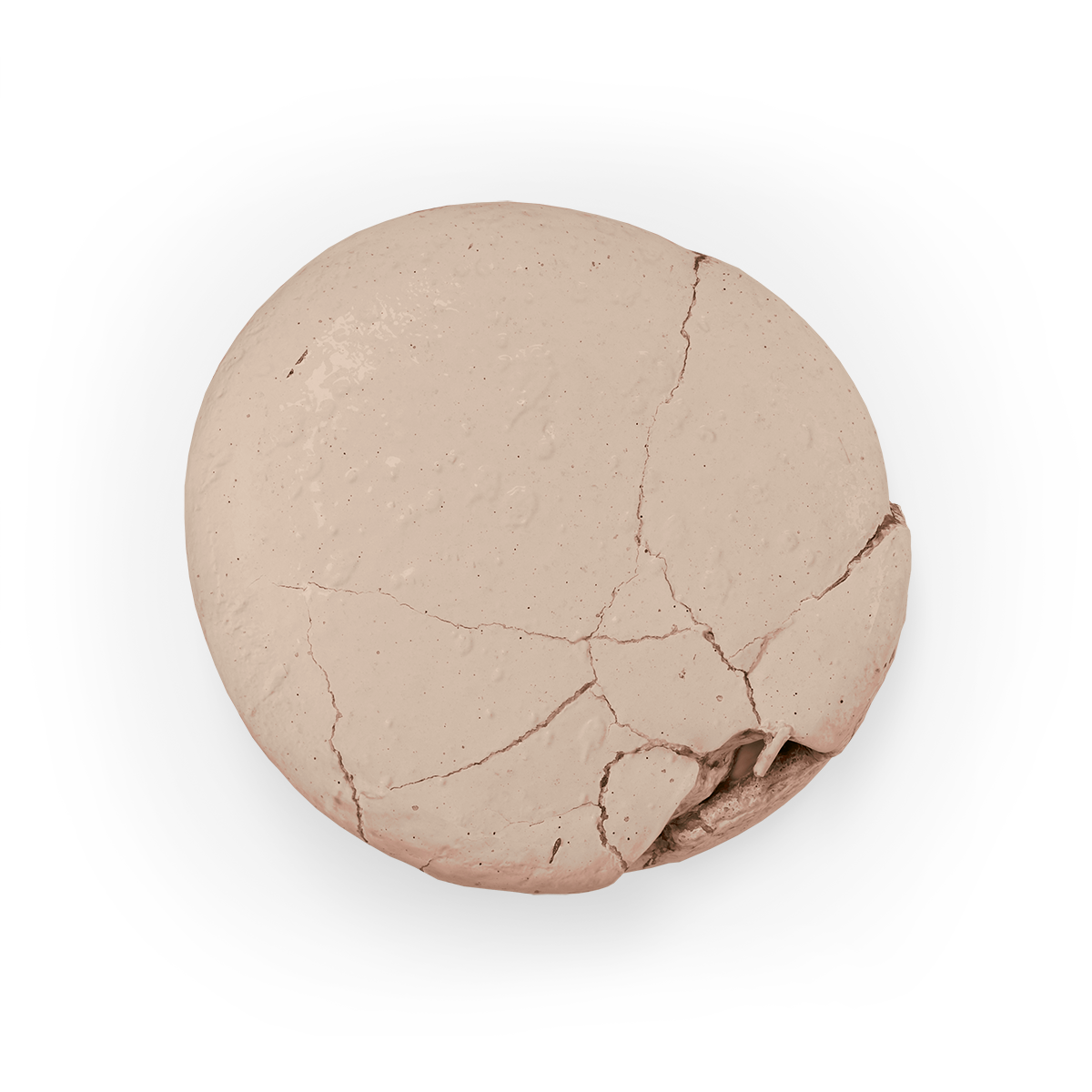 Colour Mill Aqua Blend 20ml LATTE