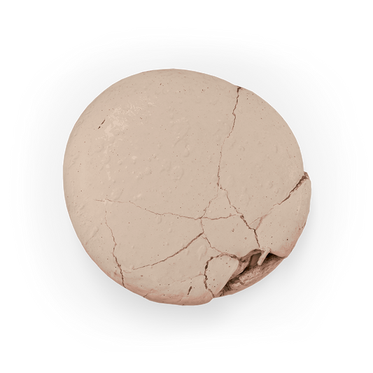 Colour Mill Aqua Blend 20ml LATTE