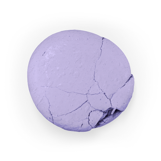 Colour Mill Aqua Blend 20ml LAVENDER