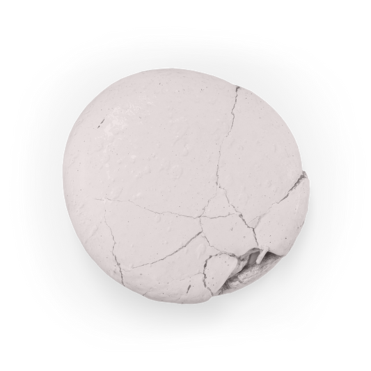 Colour Mill Aqua Blend 20ml TAUPE