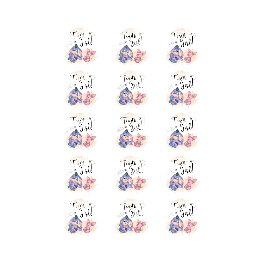 Team Girl Baby Shower 15 edible toppers full sheet uncropped all designs visible