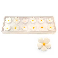 Edible Five Petal Flowers White 12pcs