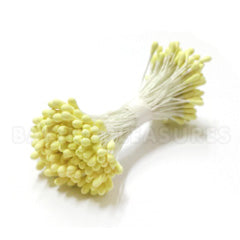 Flower Stamens Lemon