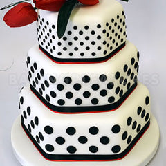 FMM Press Ice Polka 5