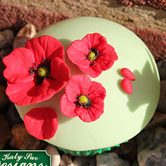 Katy Sue Pansies Silicone Mould