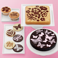 Martha Steward Vintage Girl Cake & Cupcake Stencils