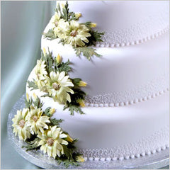 Patchwork Cutters Large Daisies