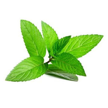 Peppermint Natural Flavouring 50ml