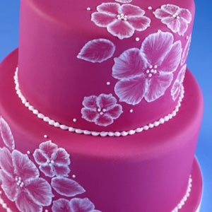 Renshaw Extra Fuchsia Pink Icing Fondant 250g