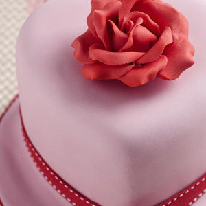 Renshaw Extra Pink Icing Fondant 250g