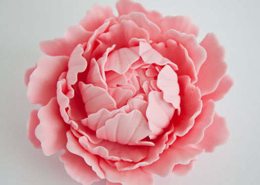 How to Make Beautiful Gum Paste Peony Flowers