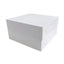 Cake Box 6" High (20x20x6")