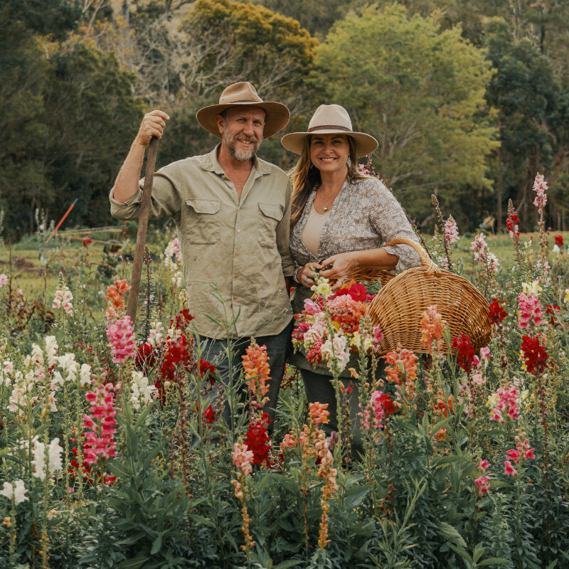 Dried Edible Pressed Flower A5 Card - Cookie Cupcake Mix