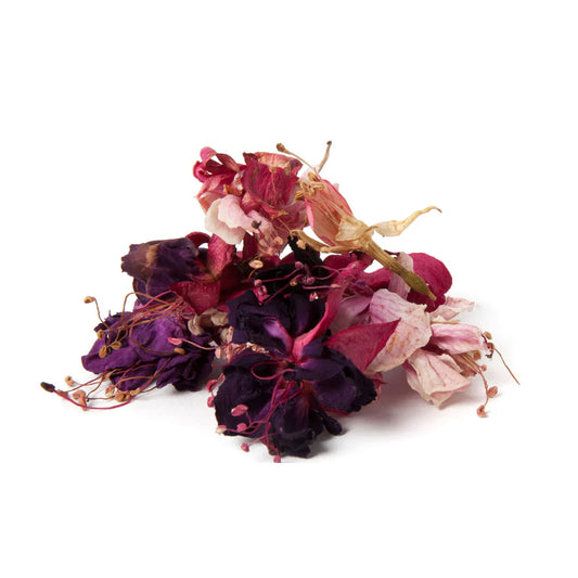 Dried Edible Flowers Australian Dried Edible Fuchsia Jar