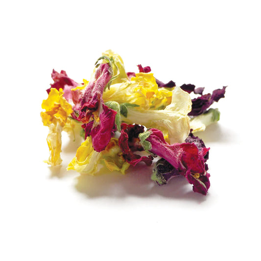 Australian Dried Edible Flowers Snap Dragon Jar