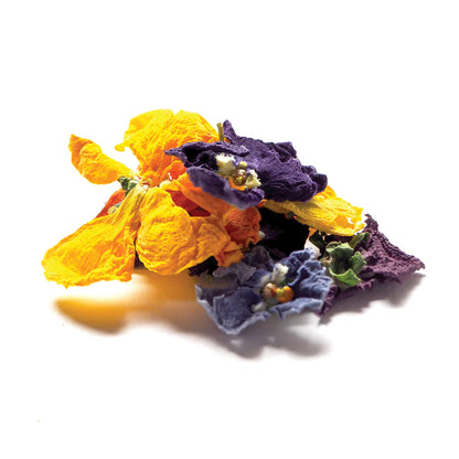 Australian Dried Edible Flowers Pressed Pansy Jar