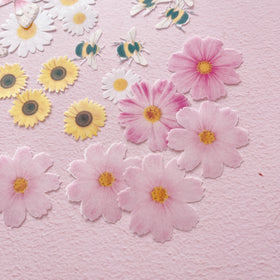 Edible Wafer Cake Cupcake Topper | Spring Flora & Fauna Pinks & Yellows - Set of 24