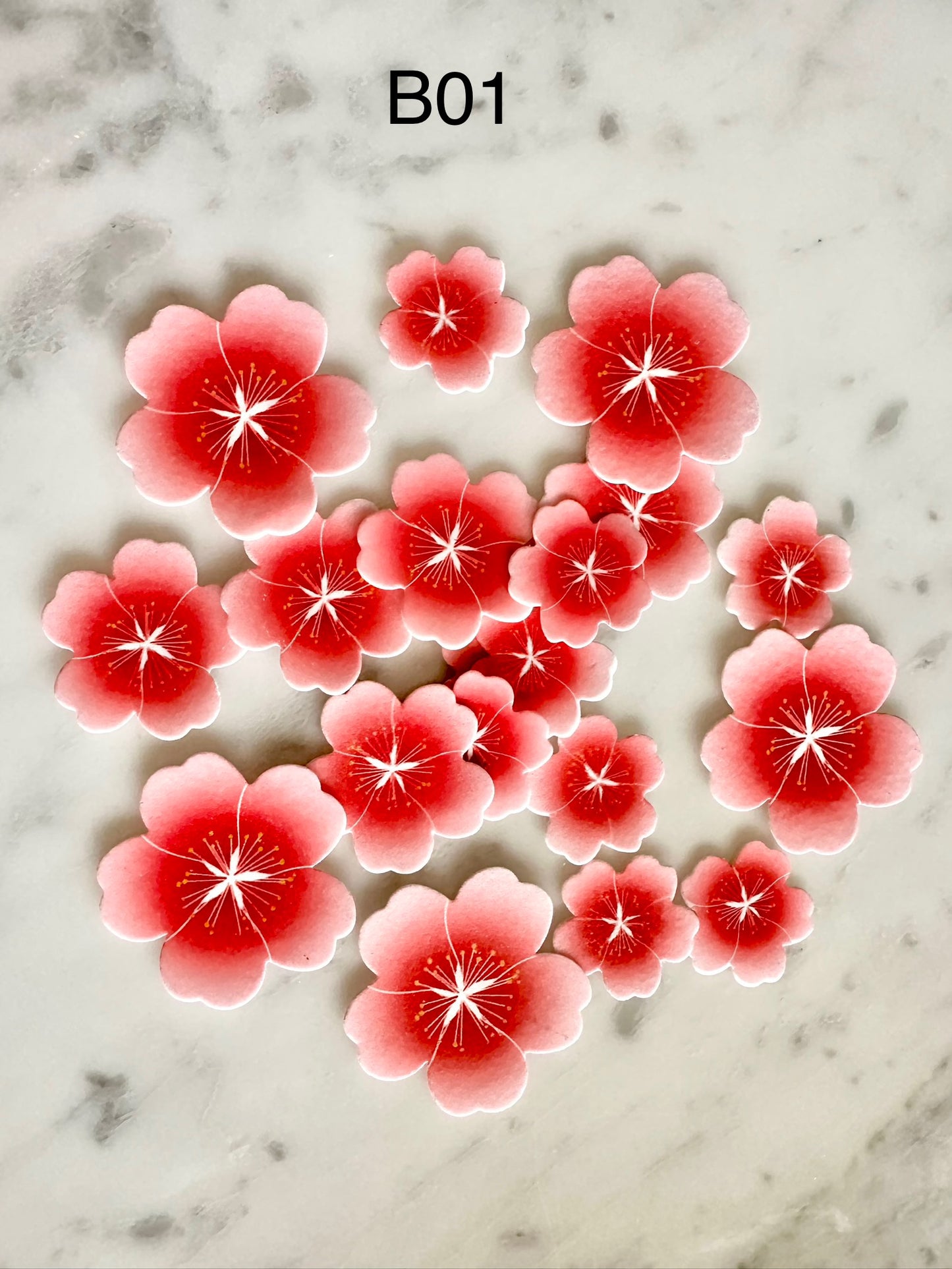 Edible Wafer Cake Cupcake Topper | Blossom (19 Pack)