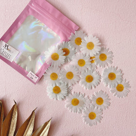 Edible Wafer Cake Cupcake Topper | Daisy Daisies Flower - Set of 24