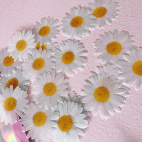 Edible Wafer Cake Cupcake Topper | Daisy Daisies Flower - Set of 24