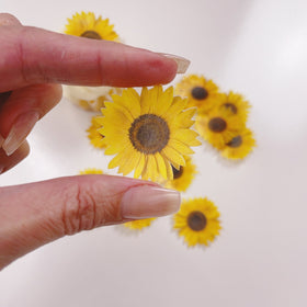 Edible Wafer Cake Cupcake Topper | Sunflowers - 24 Pack