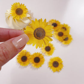 Edible Wafer Cake Cupcake Topper | Sunflowers - 24 Pack