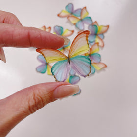 Edible Wafer Cake Cupcake Topper | Rainbow Butterflies - Set of 24