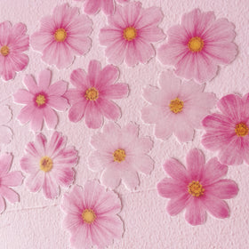 Edible Wafer Cake Cupcake Topper | Pink Cosmos Florals Flowers - Set of 15
