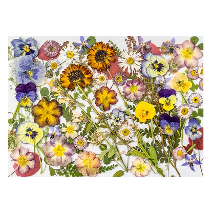 Dried Edible Pressed Flower A5 Card
