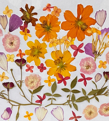 Dried Edible Pressed Flower A5 Card - Cookie Cupcake Mix