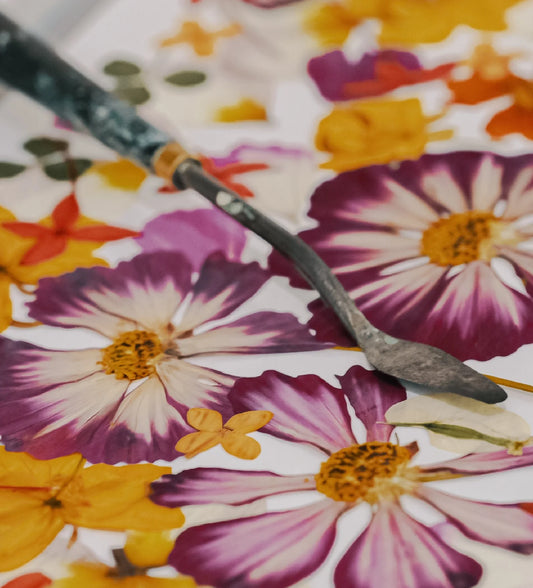 Dried Edible Pressed Flower A5 Card - Cookie Cupcake Mix