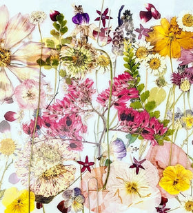 Dried Edible Pressed Flower A5 Card