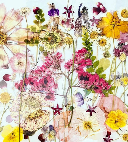 Dried Edible Pressed Flower A5 Card