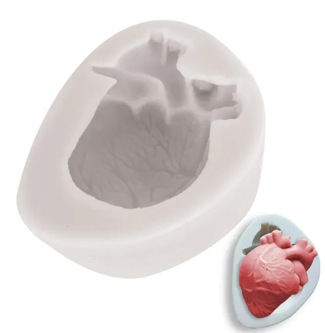 Anatomical Heart Silicone Mould Halloween