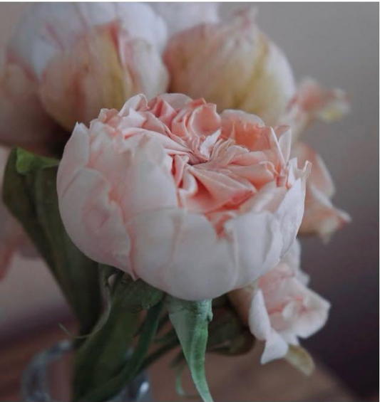 Wafer Paper Flower Masterclass with The Cake That Ate Paris - Saturday 14 November 2026