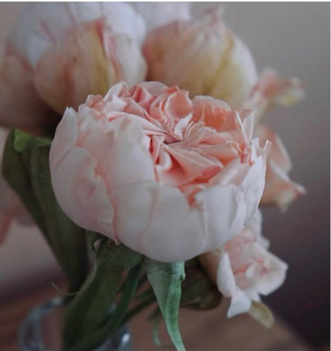 Wafer Paper Flower Masterclass with The Cake That Ate Paris - Saturday 14 November 2026