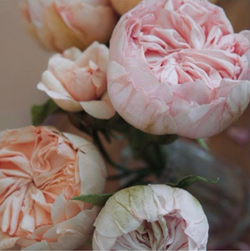Wafer Paper Flower Masterclass with The Cake That Ate Paris - Saturday 14 November 2026