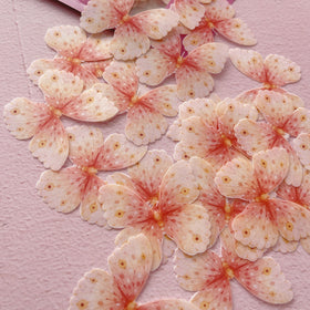 Edible Wafer Cake Cupcake Topper | Peachy Pudding Butterflies - Set of 24