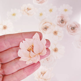 Edible Wafer Cake Cupcake Topper | Wafer Paper Ivory Florals Flowers - Set of 24