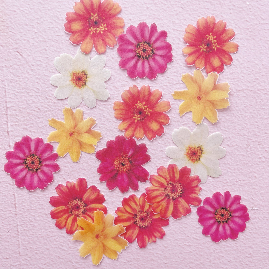 Edible Wafer Cake Cupcake Topper | Yellows and Oranges Cosmos Flowers - 15 Pack
