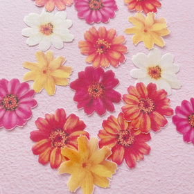 Edible Wafer Cake Cupcake Topper | Yellows and Oranges Cosmos Flowers - 15 Pack