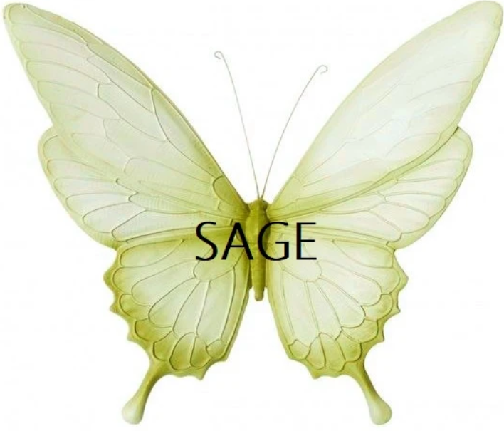 Edible Wafer Cake Cupcake Topper | Moreish Sage Green Butterfly Butterflies - Set of 15